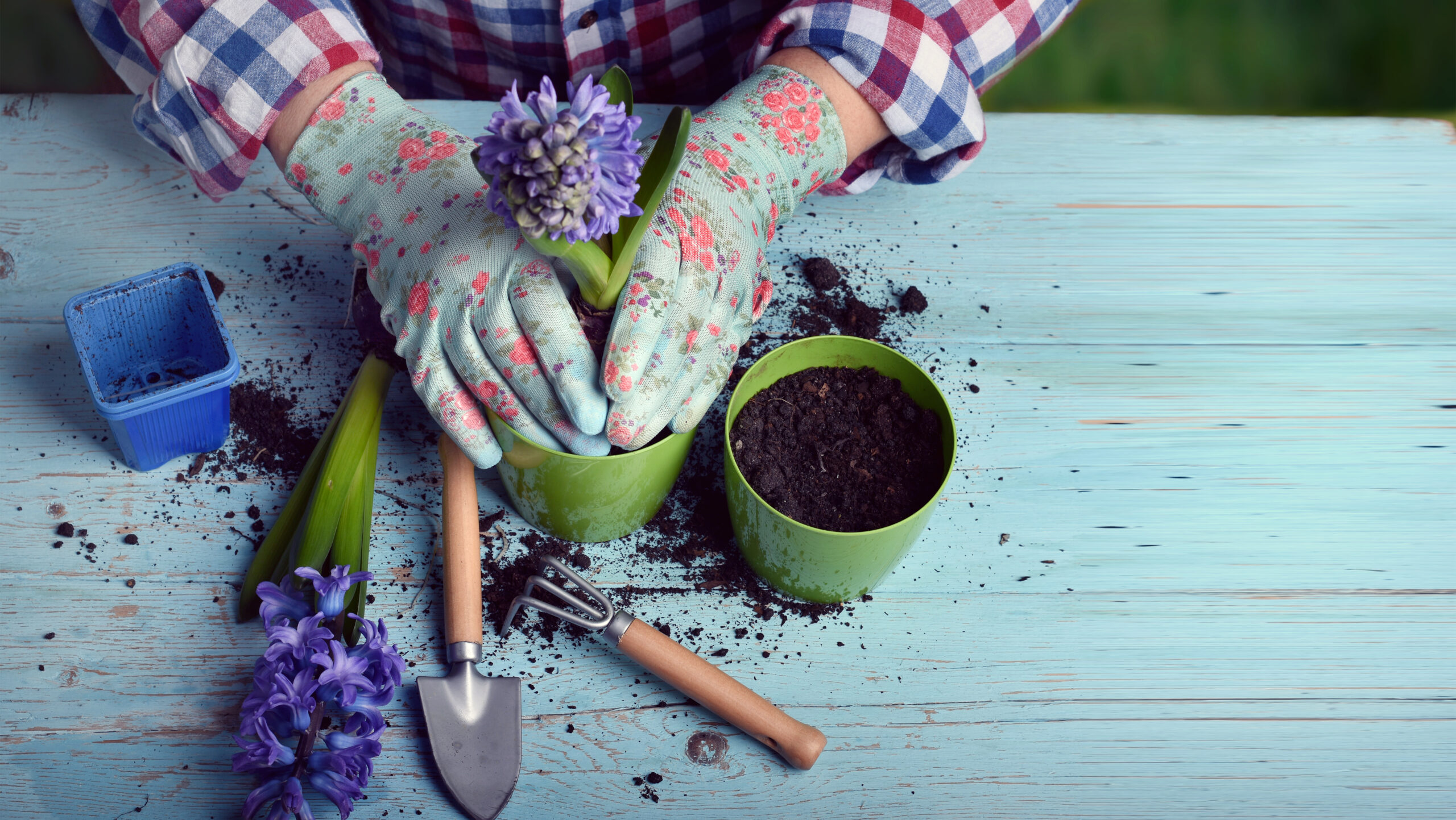 Gardening