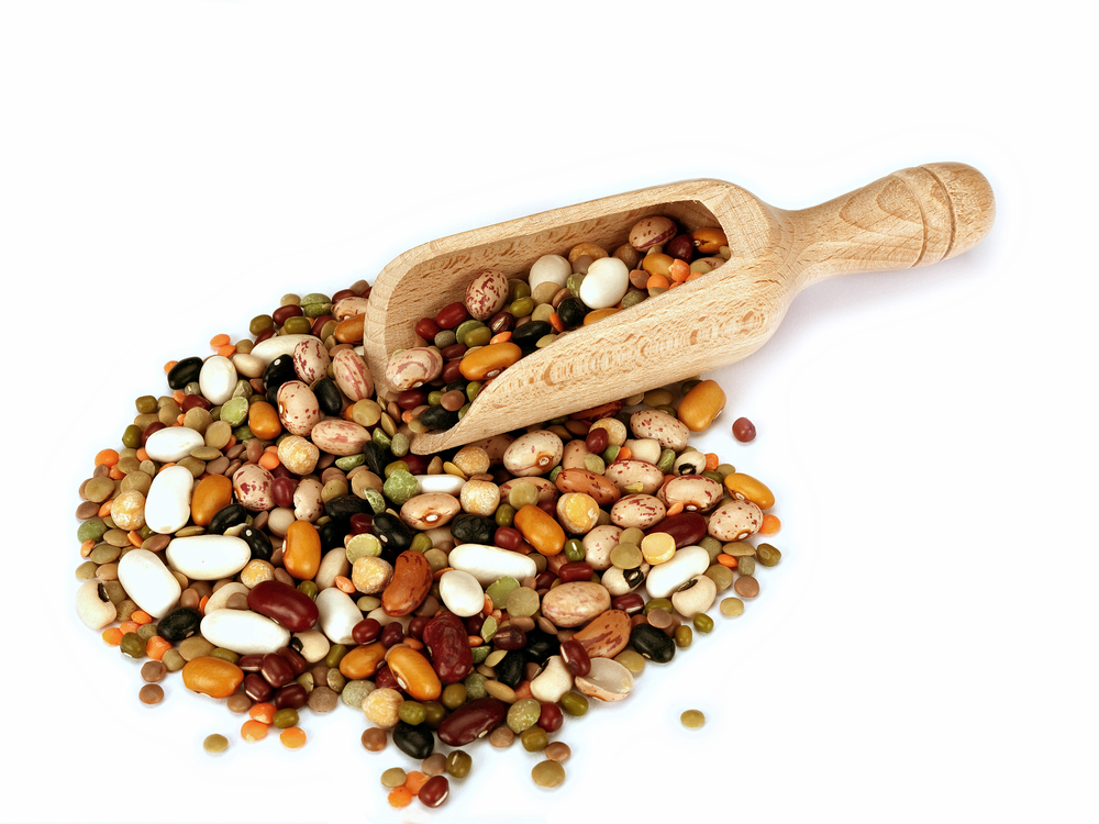 Fiber Food