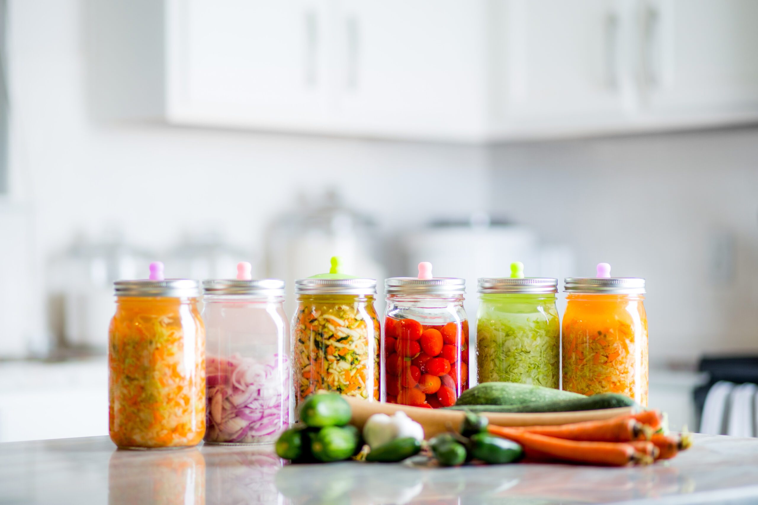 Gut Microbiome & Menopause