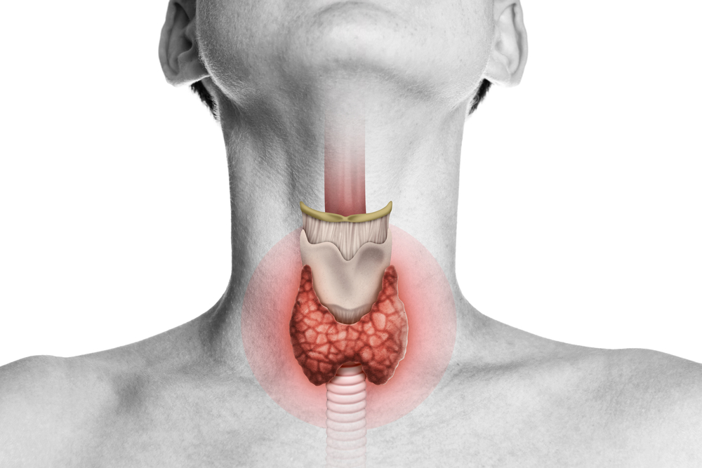 Thyroid & Menopause